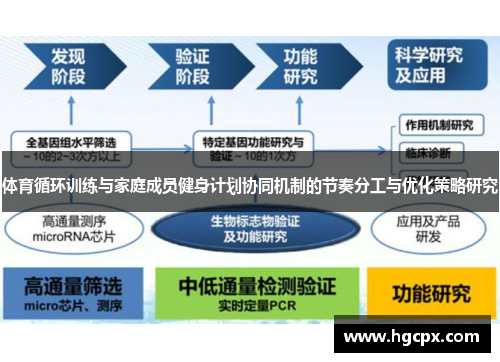 体育循环训练与家庭成员健身计划协同机制的节奏分工与优化策略研究